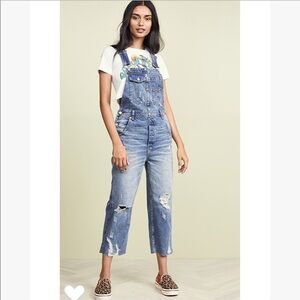 Free People Baggy Boyfriend Denim Overalls
